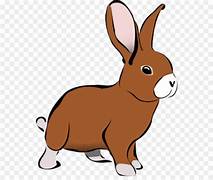 Smartheart Rabbit Food Freshpack
