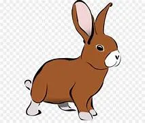 Nova Alfafa Rabbit Food Freshpack 1kg